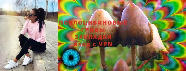 трава Михайловск