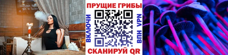 Галлюциногенные грибы Cubensis  Канск 