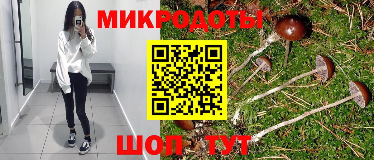 Канск  купить наркотик  Вход с VPN  Псилоцибиновые грибы прущие грибы 